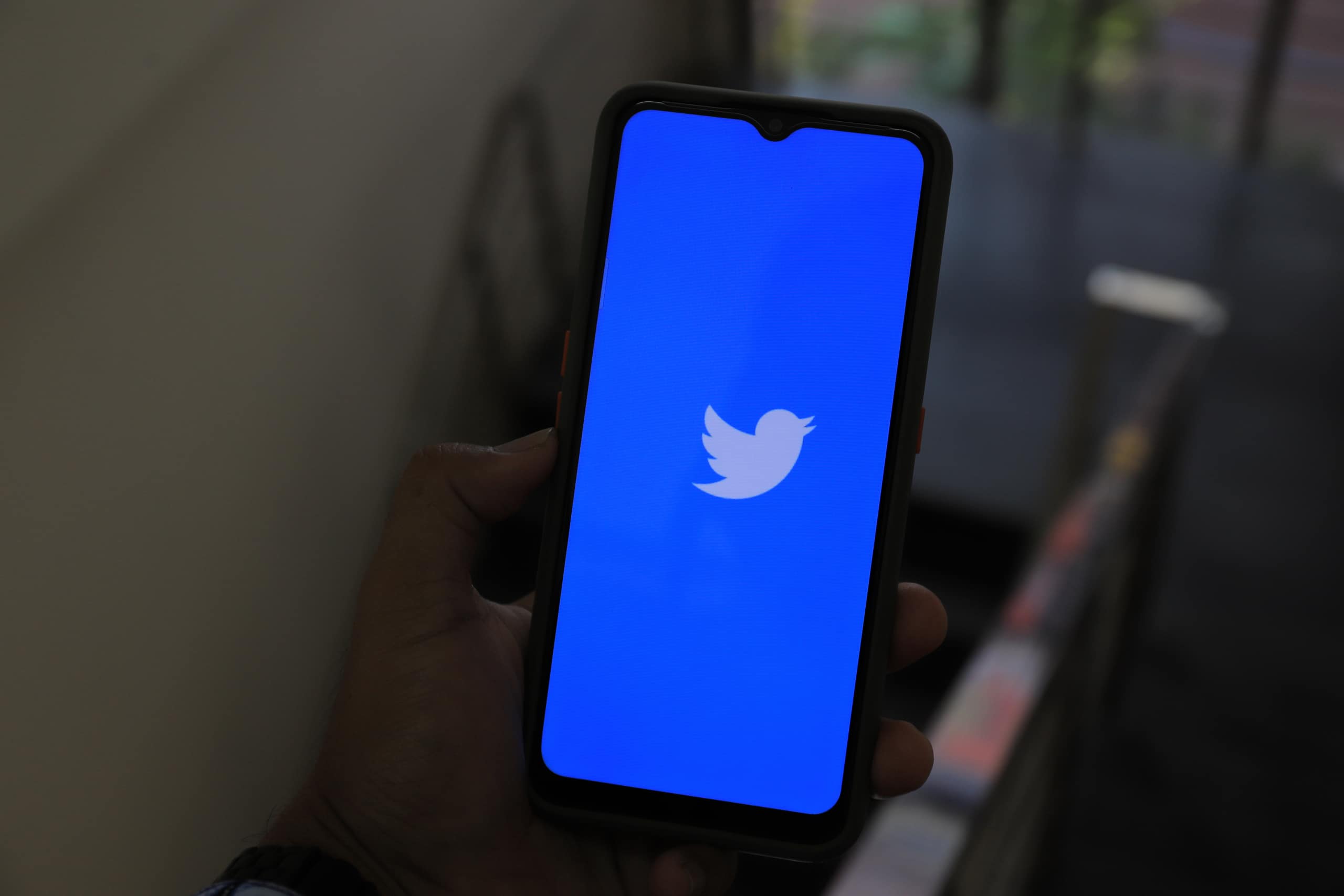 Wie wird die Zukunft von Twitter aussehen?